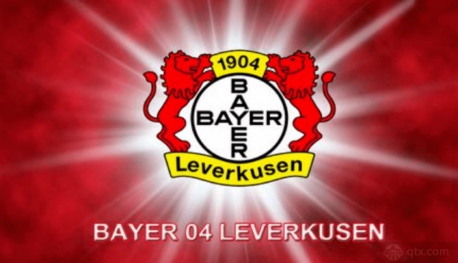 了更为细致 了更为细致